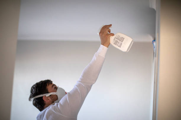 Best Black Mold Removal  in Dallas, NC