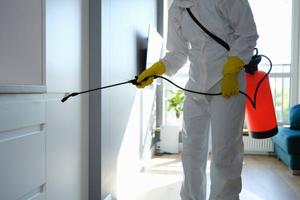 Professional Mold Removal in Dallas, NC