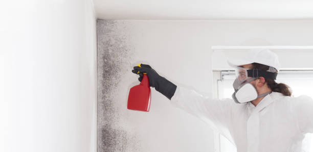 Best Crawl Space Mold Removal  in Dallas, NC